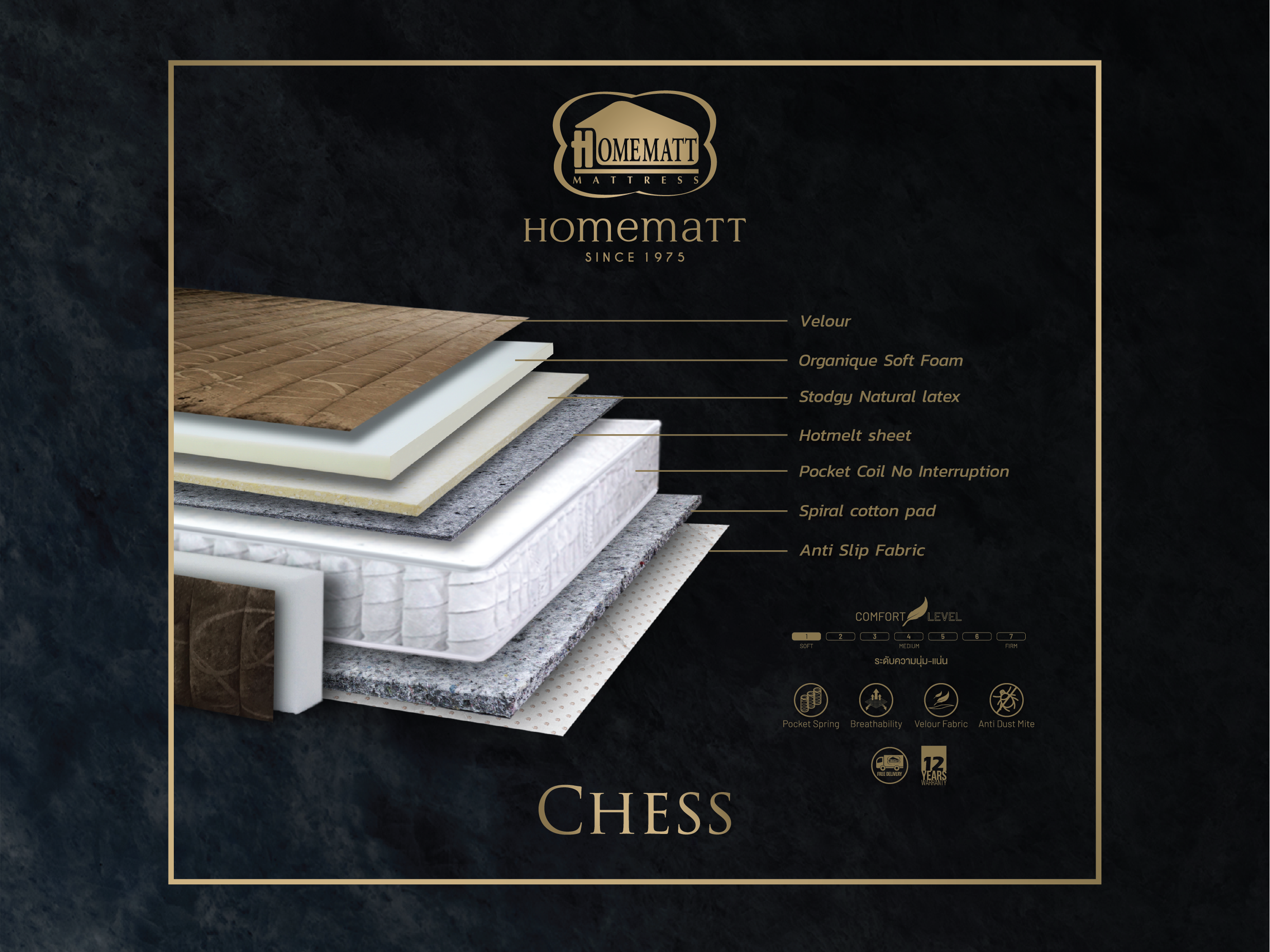 Homematt Chess